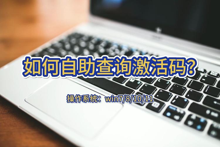 查找2013序列号?最新官方正版激活指南