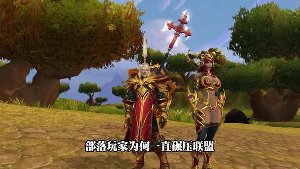 魔兽世界普查:2024年联盟与部落玩家比例揭秘