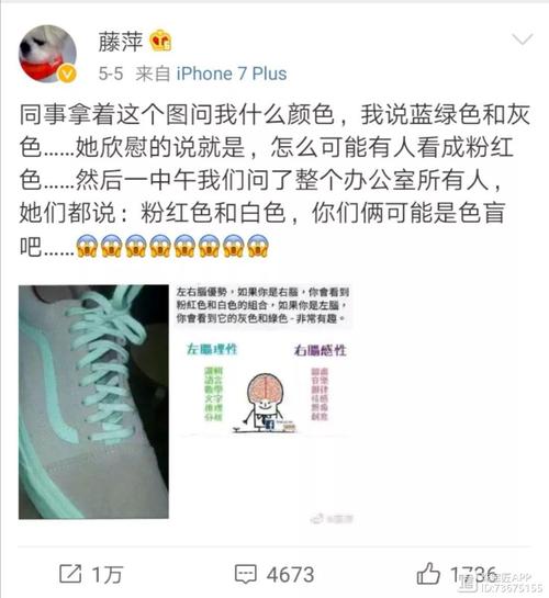 灰绿与粉白之谜:从视觉到科学的解读