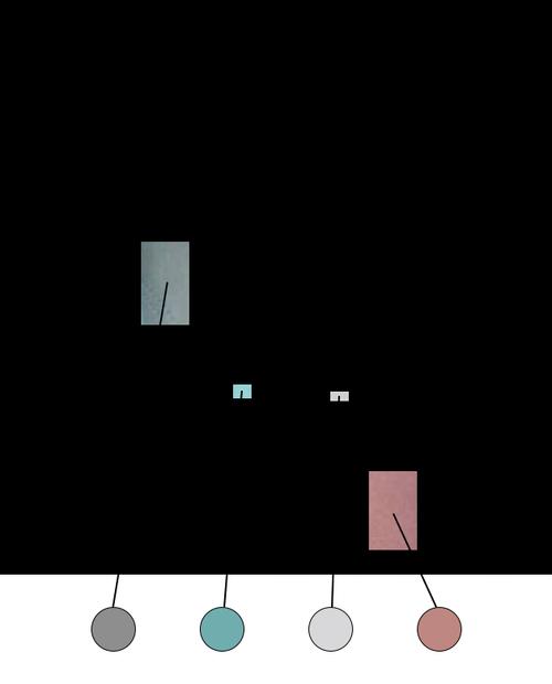 灰绿与粉白之谜:从视觉到科学的解读