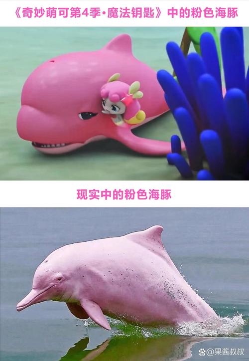 钥匙与生活中的奇妙用途,你知道多少?