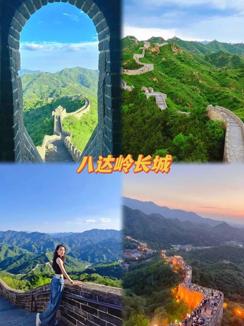 部落怎么去月光林地?新手必看保姆级路线教学!