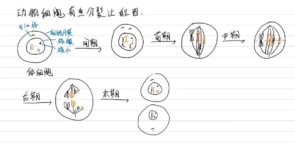 分裂细胞6无法运行解决     及技巧分享