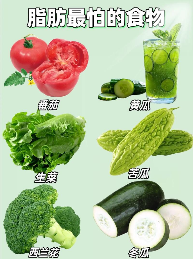 轻食的定义和特点:低脂低糖高纤的饮食选择