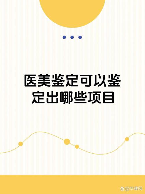 我的友是检察长:揭开法律背后的秘密