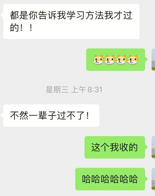 倩女殿试答题器怎么用?手把手教你轻松答题!