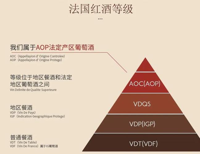 红酒瓶尺寸指南:了解750ml和500ml的差异