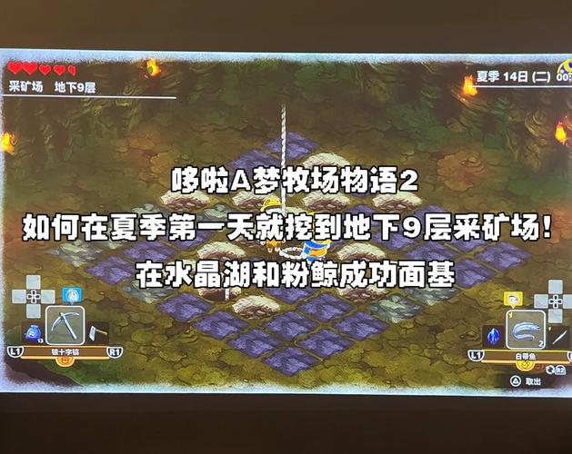 牧场物语力之果实作用详解,一篇看懂体力提升关键!