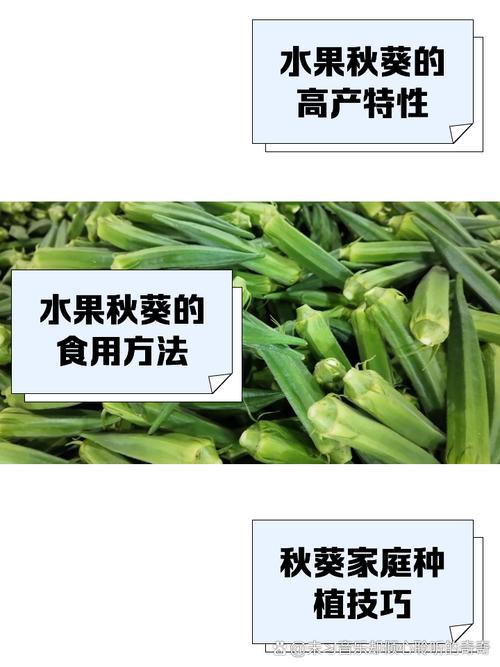 最新秋葵草莓丝瓜黄瓜榴莲大全,一次性看个够!