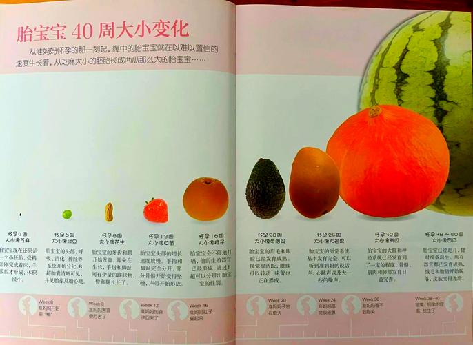 芒果日产一二三四怎么选?详细对比一看就懂!
