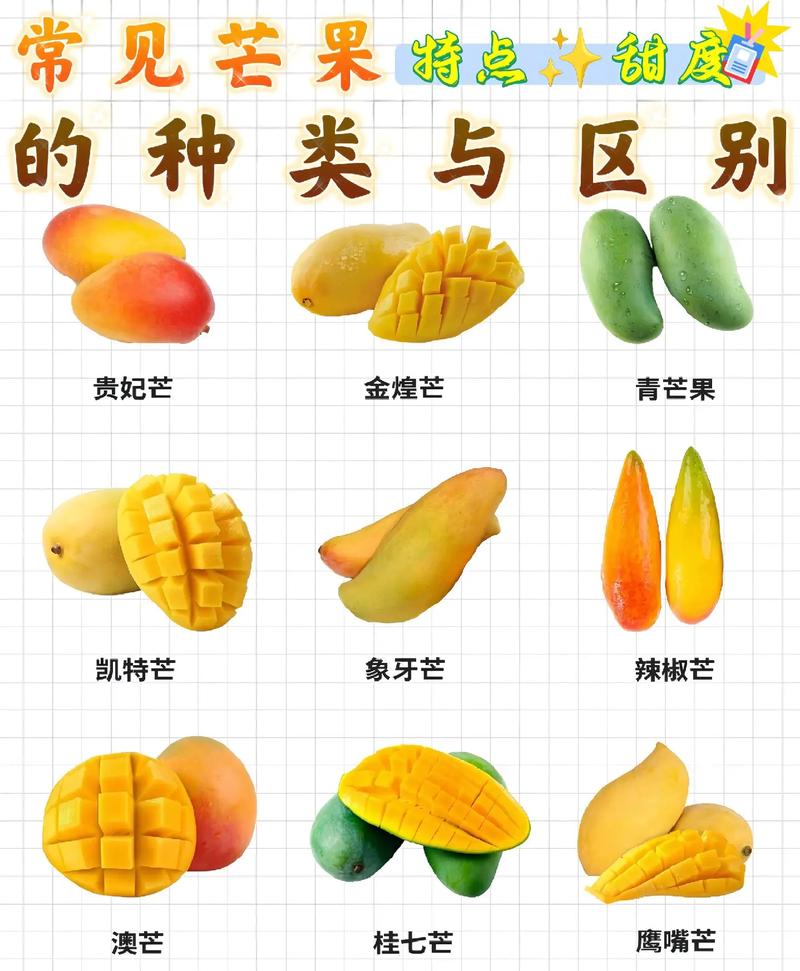 芒果日产一二三四怎么选?详细对比一看就懂!