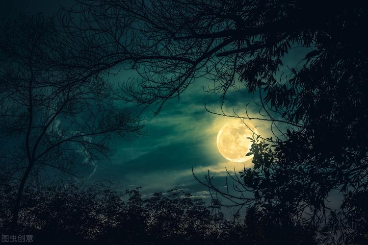 适合一个人看的夜晚软件大盘点,晚上不无聊!