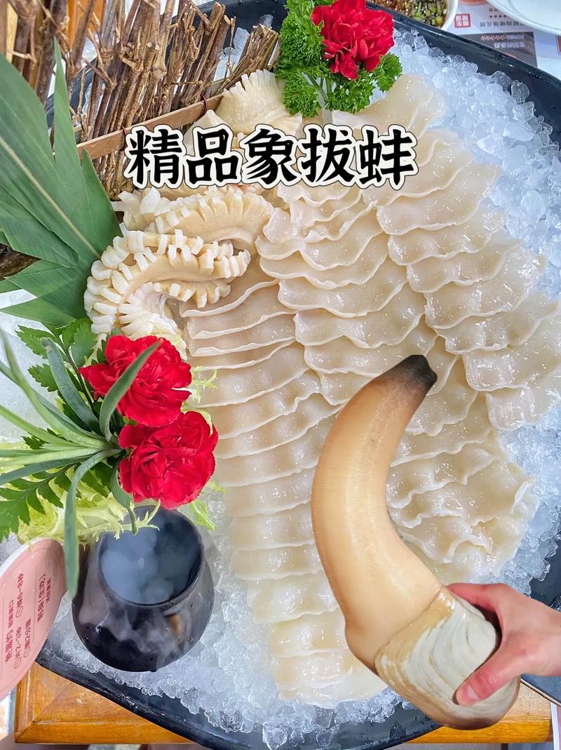 象拔蚌怎么看活不活?学会这招不怕被坑!