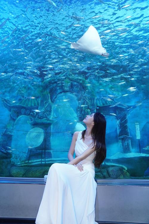 梦幻海底下载免费版,畅游海底世界不花钱!