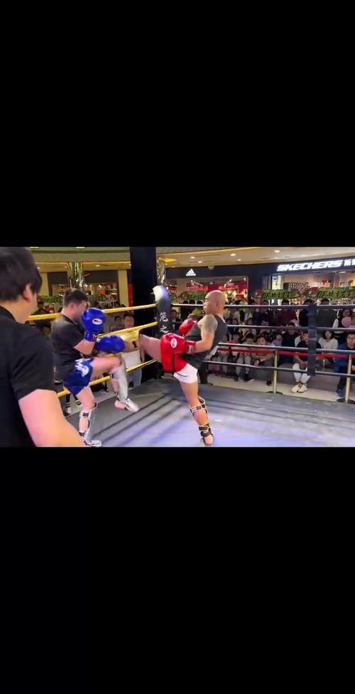 格斗之夜2012全部比赛结果回顾!看看谁笑到了最后?