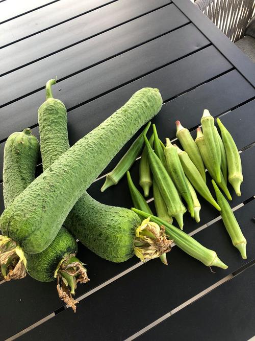 草莓丝瓜秋葵向日葵榴莲石榴,这些水果蔬菜你都爱吃吗?