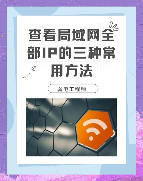 网通客户端下载ip地址在哪?快速获取看这里!
