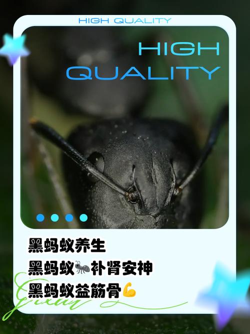 突然火起来的蚂蚁牙黑,究竟是什么意思?