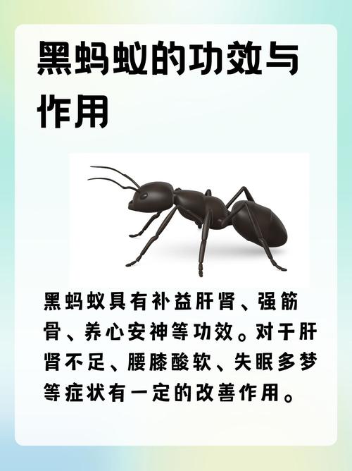 突然火起来的蚂蚁牙黑,究竟是什么意思?