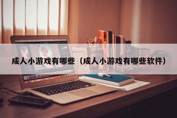 成人小游戏有哪些（成人小游戏有哪些软件）