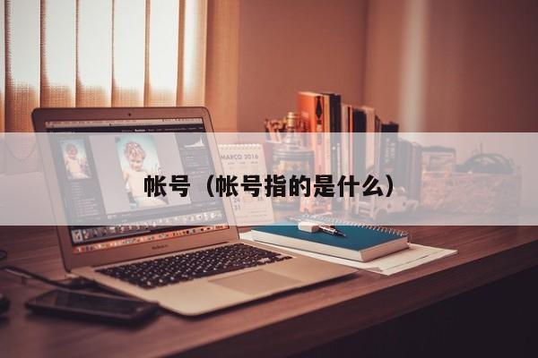 帐号（帐号指的是什么）