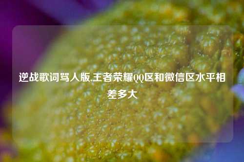 逆战歌词骂人版,王者荣耀     区和微信区水平相差多大