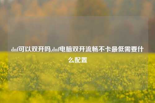 dnf可以双开吗,dnf电脑双开流畅不卡更低需要什么配置