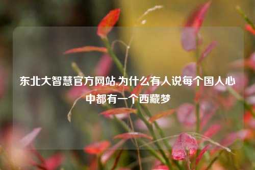 东北大智慧官方网站,为什么有人说每个国人心中都有一个     梦
