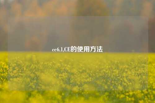 ce6.1,CE的使用     