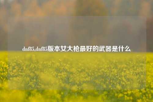 dnf85,dnf85版本女大枪更好的武器是什么