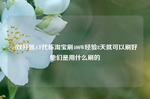 cf双开器,CF代练     刷400W经验8天就可以刷好他们是用什么刷的