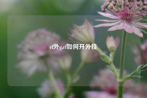 cf外g,cf如何开外挂