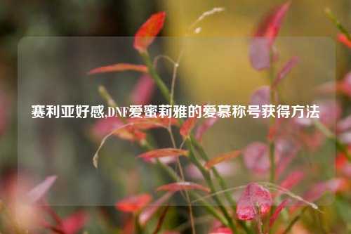 赛利亚好感,DNF爱蜜莉雅的爱慕称号获得     