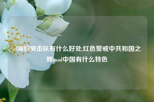 cf海豹突击队有什么好处,红色警戒     和国之辉mod中国有什么特色