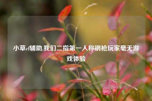 小草cf辅助,我们二指之一人称钢枪玩家毫无游戏体验