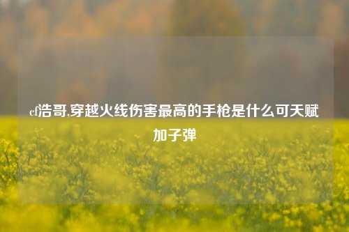 cf浩哥,穿越火线伤害更高的手枪是什么可天赋加子弹