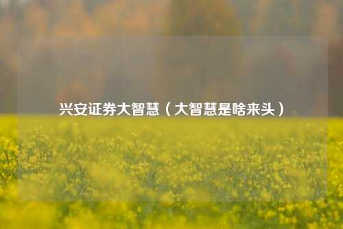 兴安证券大智慧（大智慧是啥来头）
