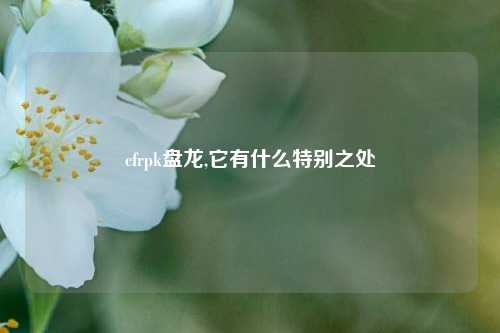 cfrpk盘龙,它有什么特别之处