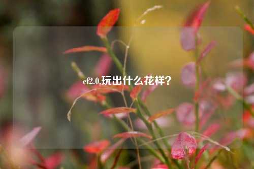 cf2.0,玩出什么花样？