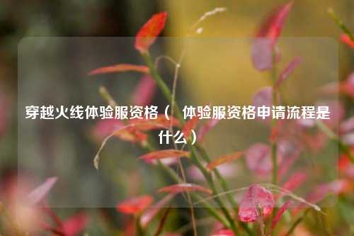 穿越火线体验服资格（  体验服资格申请流程是什么）
