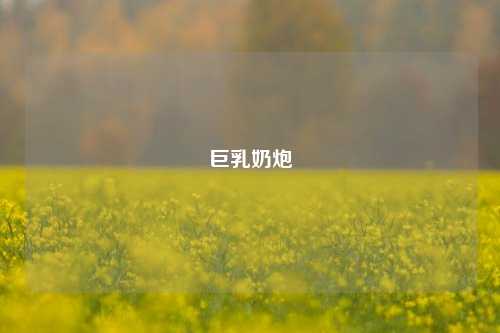      奶炮