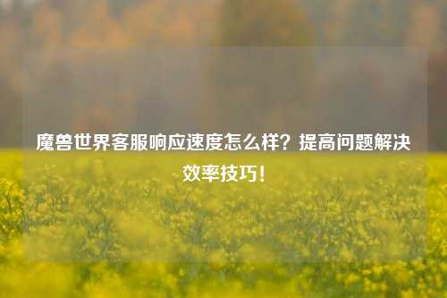 魔兽世界     响应速度怎么样？提高问题解决效率技巧！