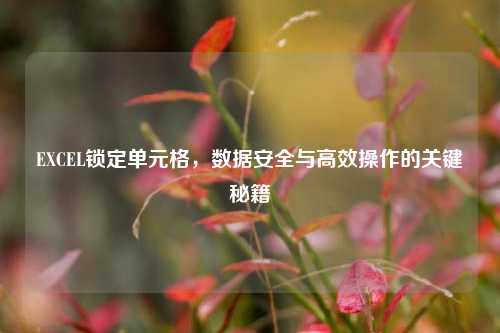 EXCEL锁定单元格，数据安全与高效操作的关键秘籍