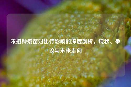 未接种疫苗对出行影响的深度剖析，现状、争议与未来走向