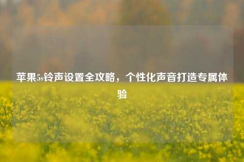 苹果5s     设置全攻略，个性化声音打造专属体验