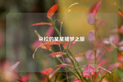 朵拉的星星捕梦之旅