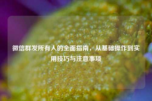 微信群发所有人的全面指南，从基础操作到实用技巧与注意事项