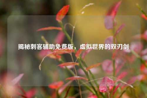 揭秘刺客辅助免费版，虚拟世界的双刃剑