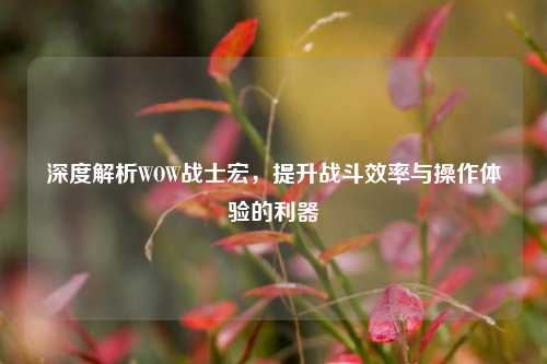 深度解析WOW战士宏，提升战斗效率与操作体验的利器