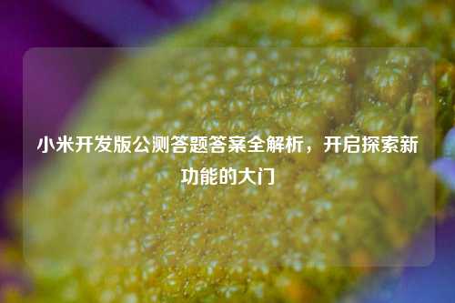 小米开发版公测答题答案全解析，开启探索新功能的大门
